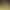 Gold Bars and Grains